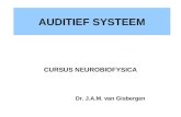 AUDITIEF SYSTEEM CURSUS NEUROBIOFYSICA Dr. J.A.M. van Gisbergen.