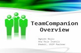 Team companion overview