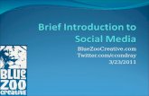 BNI Social Media Overview