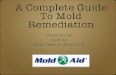 A Complete Guide To Mold Remediation