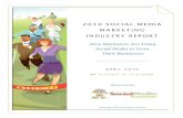 Social Media Marketing Report2010