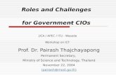 Roles and Challenges for Government CIOs