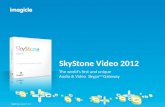 Imagicle Skype Video Gateway - 2013 ENG