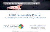 DISC Personalty Assessments - Your Key to Professional Success