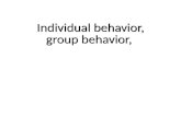 Group behaviour