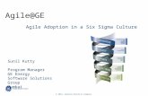 Agile and Lean Six Sigma