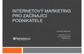 2013 01-31-internetový marketing
