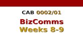 Business Communications Class Week 6 Ethan Chazin