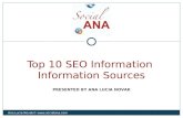 Seo info-slides