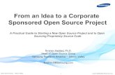 From Idea to Corporate-Sponsored Open Source Project