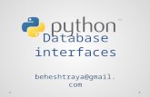 Python database  interfaces