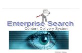 Leveraging Enterprise Search for Business Intelligence and Content Management