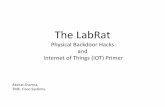 The LabRat - Physical backdoor hacks and IOT primer