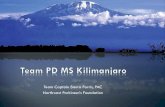 Virtual Team Kilimanjaro
