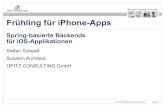 ipdc10: Spring Backends für iOS Apps