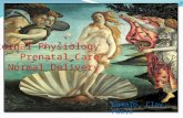 Maternal physiology, prenatal care,normal labor and delivery
