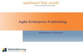 Agile Enterprise Publishing