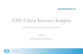CIW China Internet Insights 2013