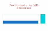 Particpate in whs processes recap wks 2  13