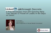 LinkedIn Breakthrough Secrets