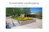 Sustainable Landscaping and Companion Planting - Massachusetts