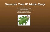 Updated summer tree id practice cyber
