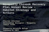 Nisqually chinook habitat strategy and actions