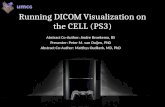 Running Dicom Visualization On The Cell (Ps3) Rsna Poster Presentation