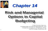 Ch 14 - Risk and Managerial Options in Capital Budgeting