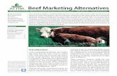 Beef Marketing Alternatives