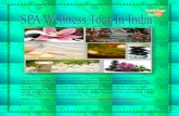 Various Beauty SPA Tour Packages For India