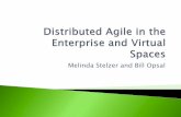 Distributed agile in the enterprise and virtual spaces 2012-08-16
