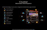 Cluster workspace
