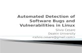 Automated Detection of Software Bugs and Vulnerabilities in Linux