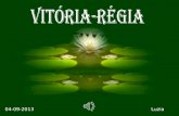 Vitoria Regia