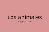 Los animales - hayvanlar