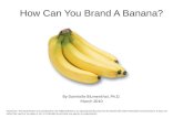 The Financial Value Of A Brand An Open Source Presentation