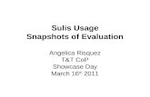 Sulis snapshot of usage and evaluation