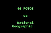46 Fotosda National Geographic