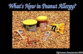 Peanut Allergy 2009
