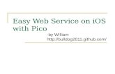 Easy Web Serivce on iOS with Pico