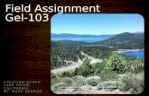 Field assignment gel 103