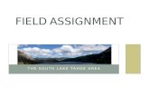 Field assignment