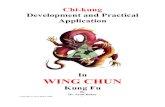 Chi-kung Development and Practical Application In WING CHUN Kung Fu By Dr. Scott Baker