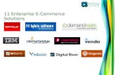 11 Enterprise E-Commerce Solutions