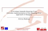 First Steps Towards Housing First. Possible Implementation of the Housing First Approach in Hungary