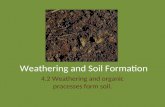 4.2 Weathering And Soil Formation