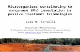 Cara Santelli, "Microorganisms Contributing to Manganese Remediation in Passive Treatment Technologies"