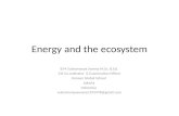 Energy and the ecosystem IGCSE
