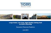 Tigers Realm Coal Presentation, Resources Roadshow June 2013